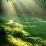 Alarmas android | Despertador de dios